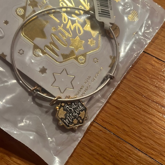 Bay Mitzvah Charm Bangle - Alex and Ani - Picture 5 of 5